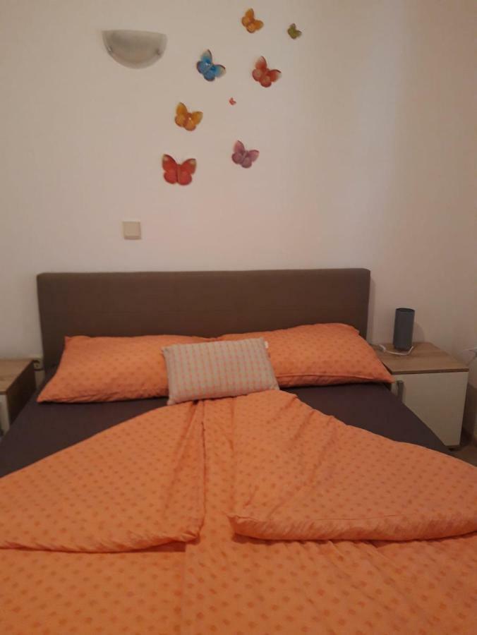 Apartments Petrovic سيلو المظهر الخارجي الصورة